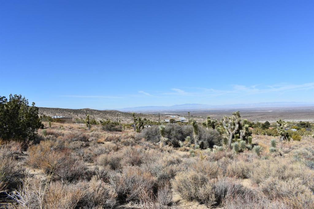 0 Vac/Ave Y4/Vic 157 Ste Street