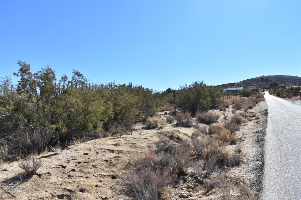 0 Vac/Ave Y4/Vic 157 Ste Street