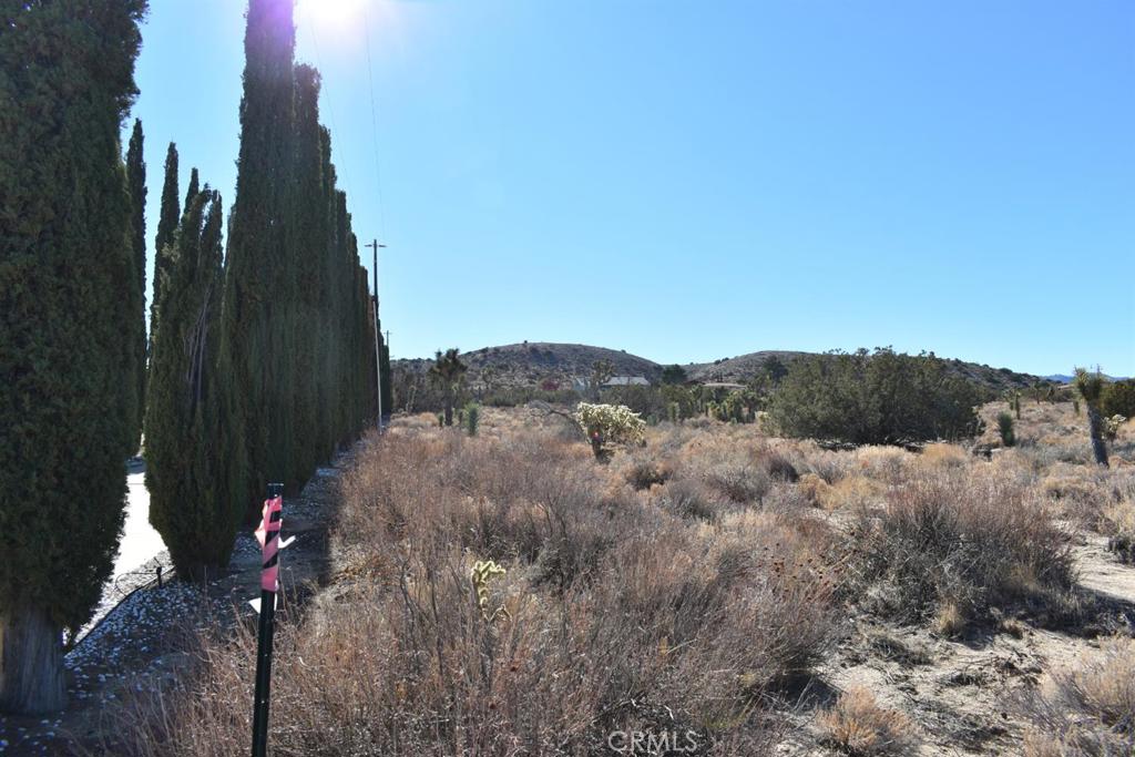 0 Vac/Ave Y4/Vic 157 Ste Street