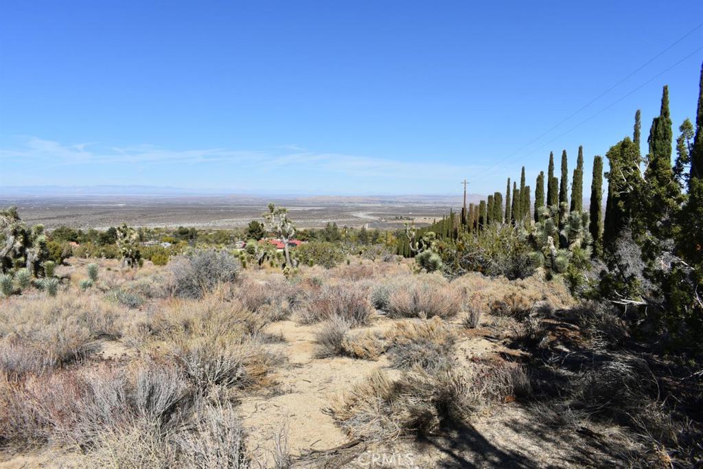 0 Vac/Ave Y4/Vic 157 Ste Street