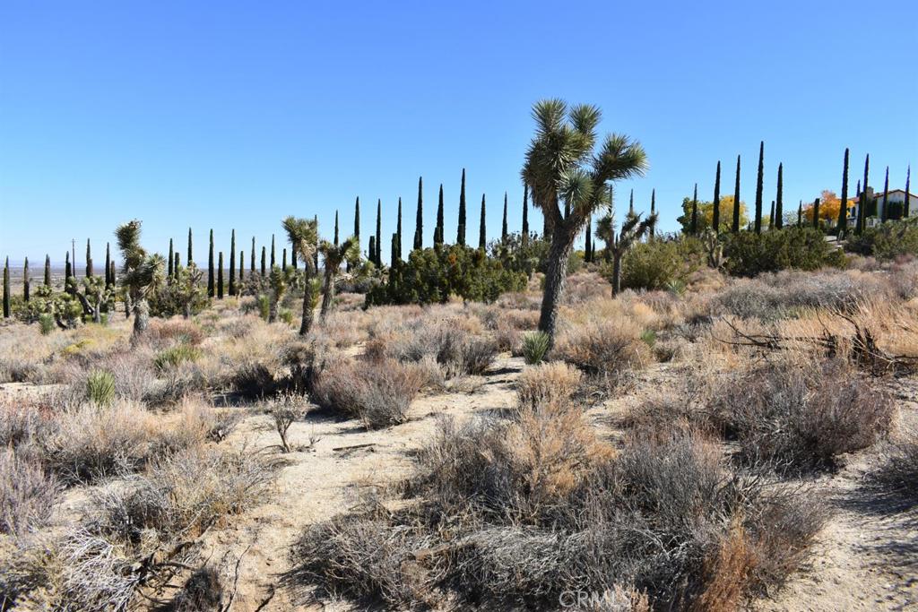 0 Vac/Ave Y4/Vic 157 Ste Street