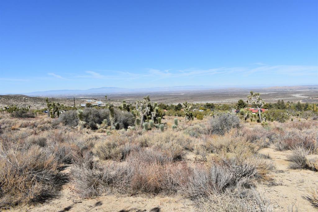 0 Vac/Ave Y4/Vic 157 Ste Street