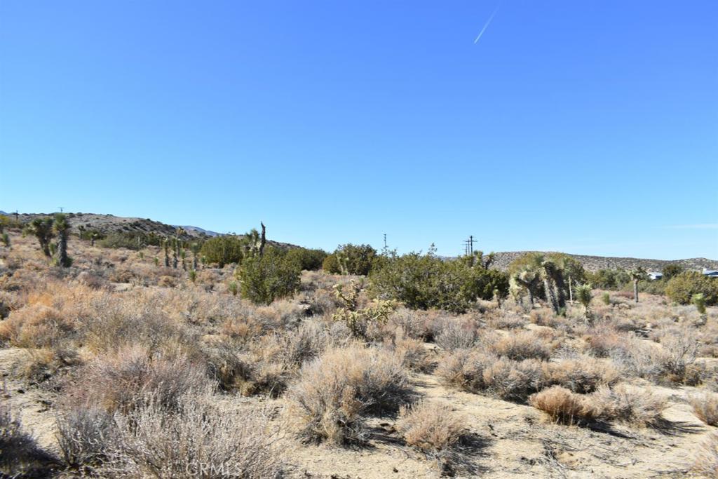 0 Vac/Ave Y4/Vic 157 Ste Street