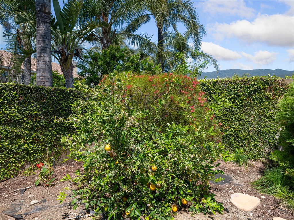 5422 Tenderfoot Drive