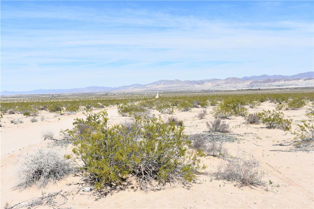0 07 Morongo Road
