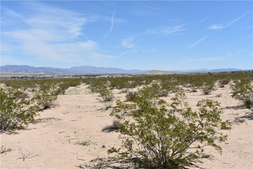 0 07 Morongo Road