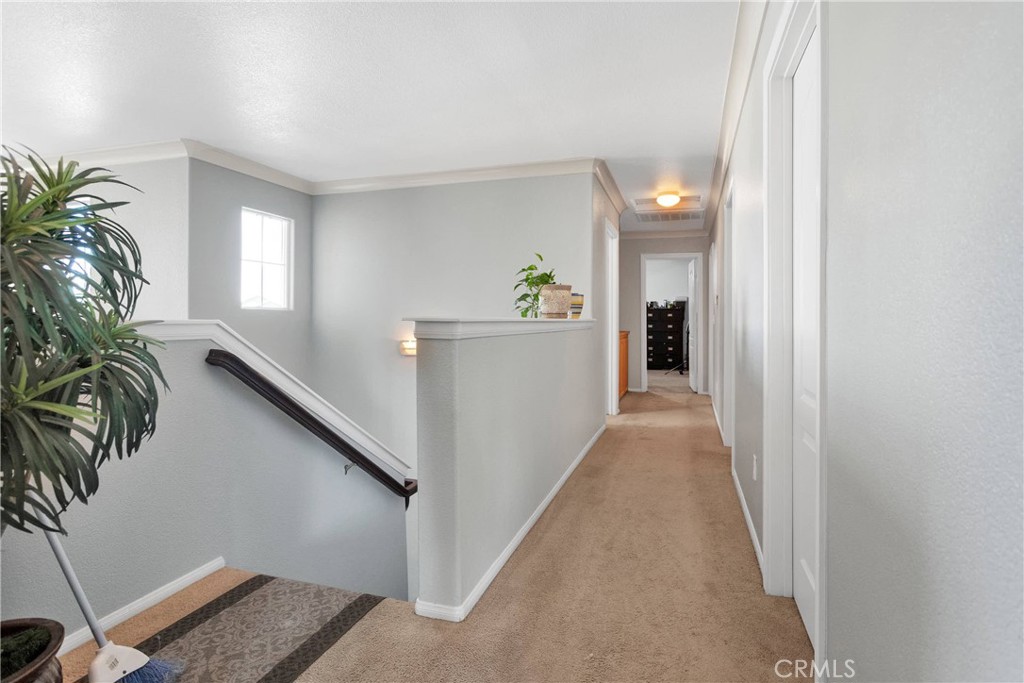 12669 Water Lily Lane