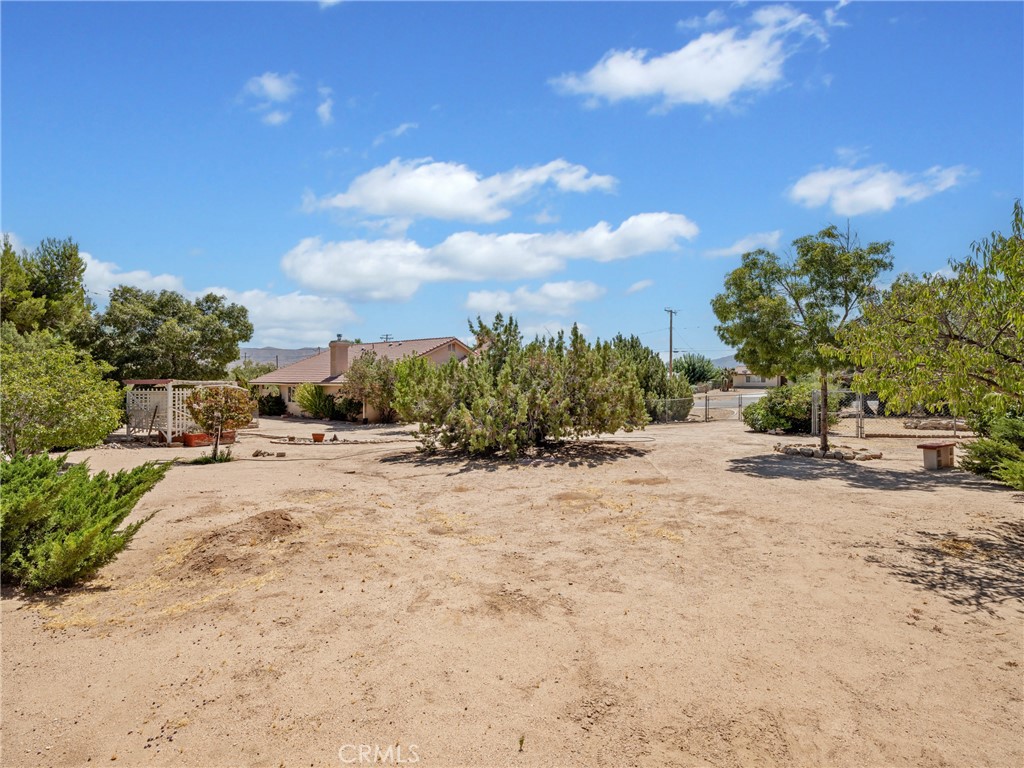 17914 Orange Street
