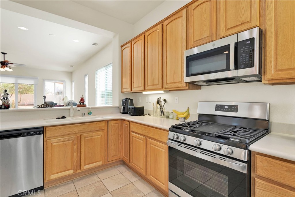 19533 Cherrydale Court