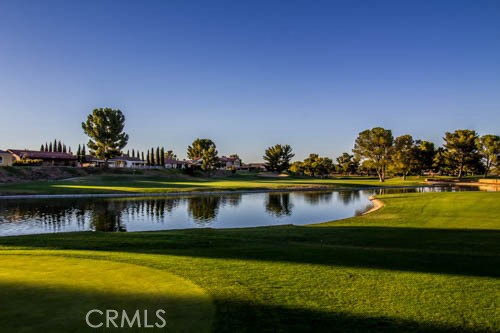 27354 Strawberry Lane