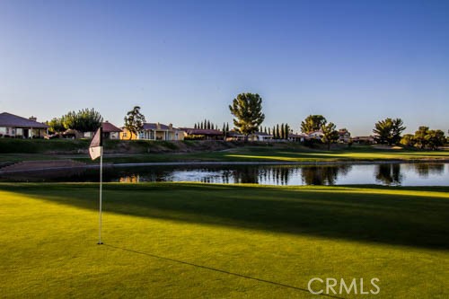 27354 Strawberry Lane