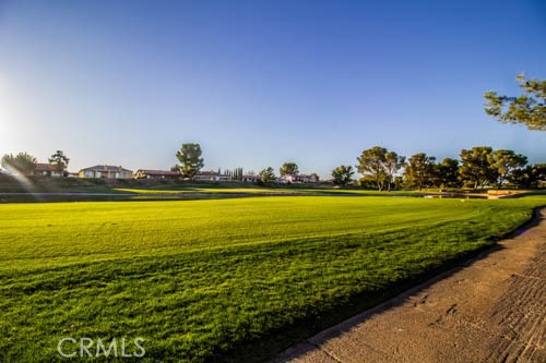 27354 Strawberry Lane