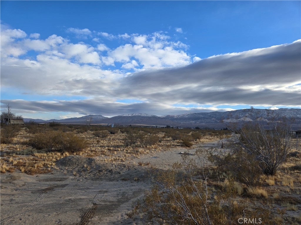 5 Acres Colby Street