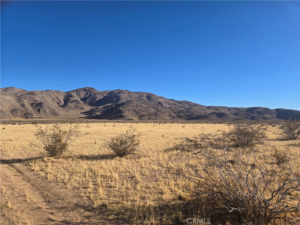 108900 SF Bellflower Street