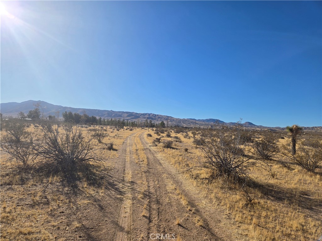 108900 SF Bellflower Street