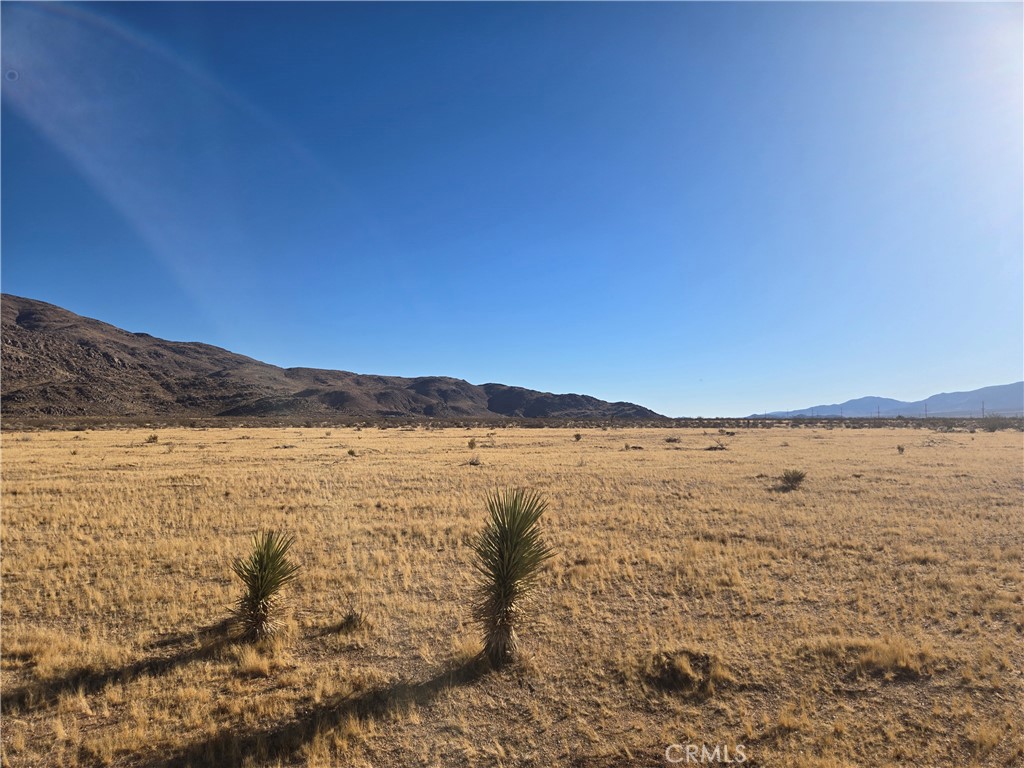 108900 SF Bellflower Street