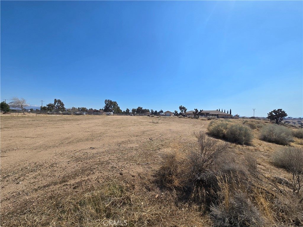 90169 SF Palm Street