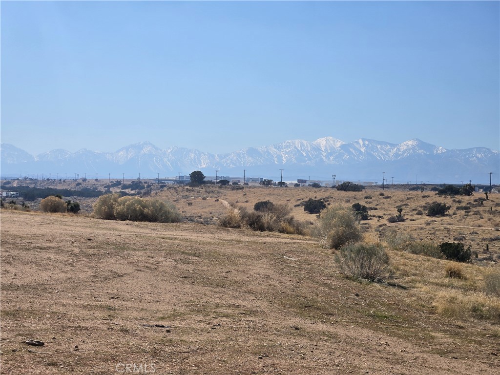 90169 SF Palm Street