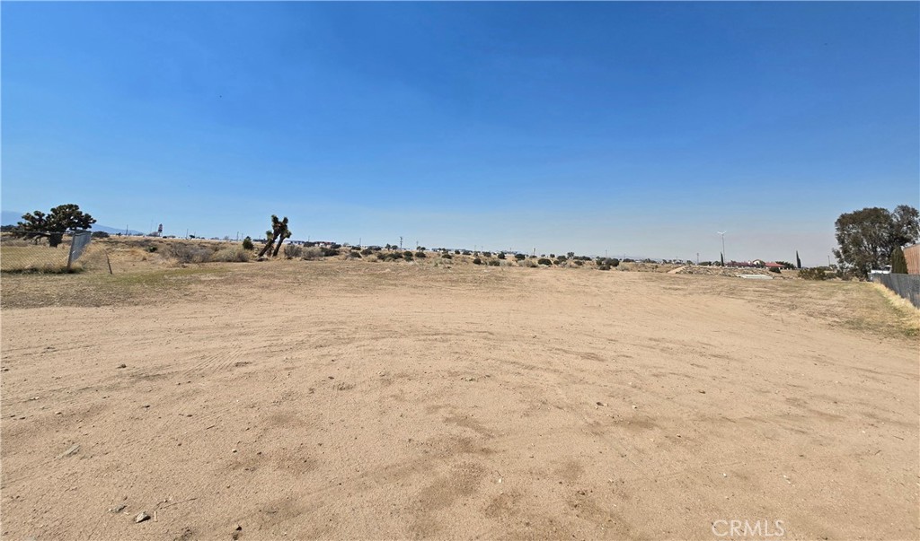 90169 SF Palm Street