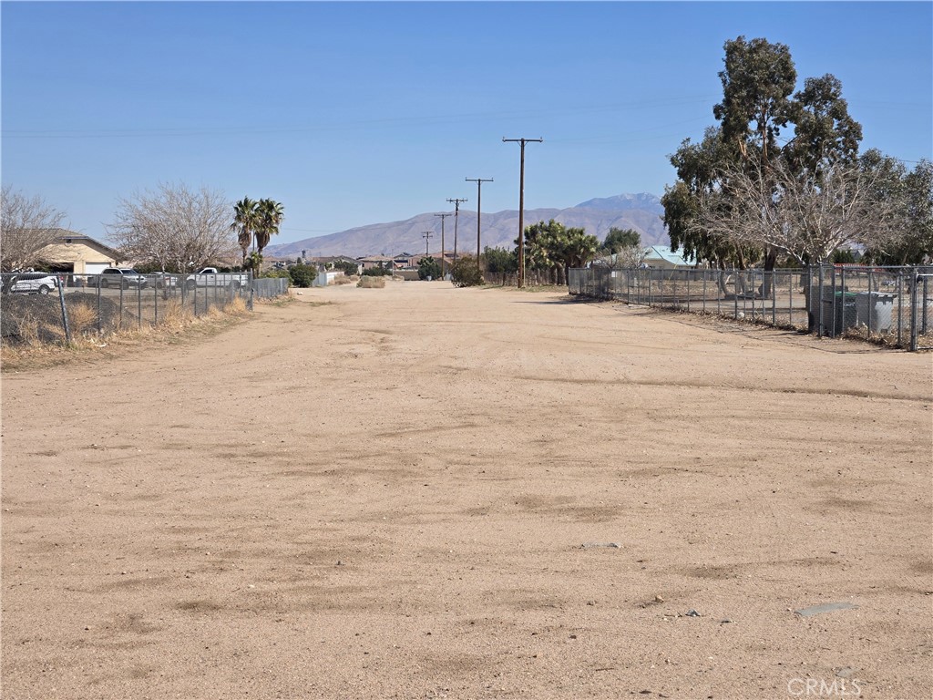 90169 SF Palm Street