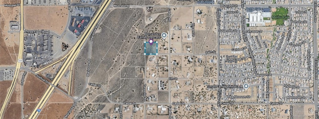 90169 SF Palm Street