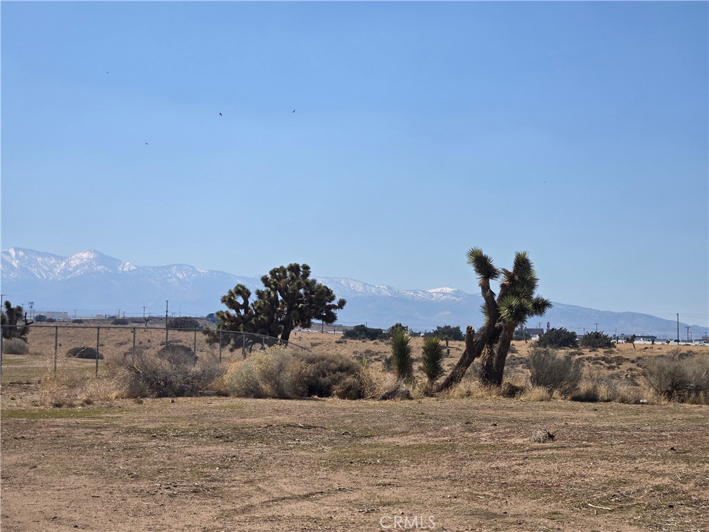 90169 SF Palm Street