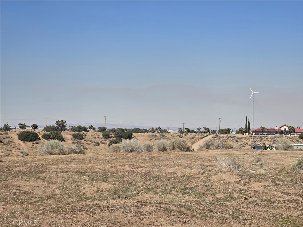 90169 SF Palm Street