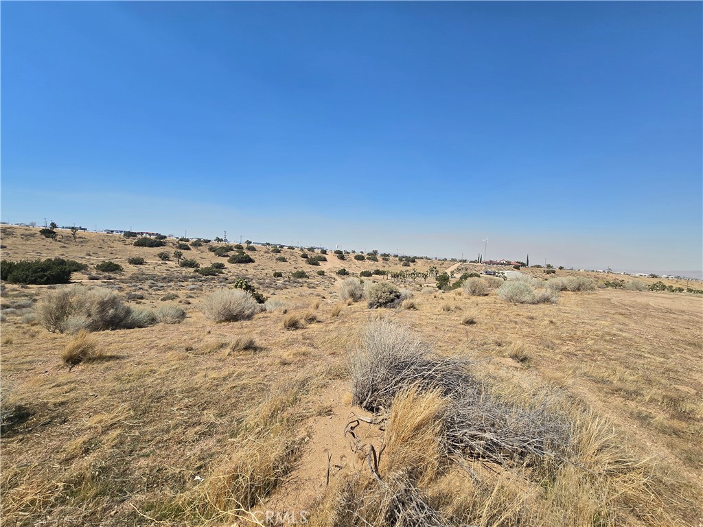 90169 SF Palm Street