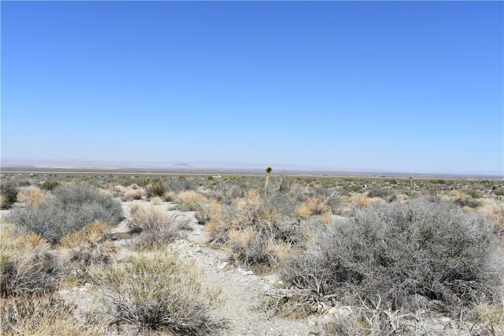 0 Vac/Fort Tejon Drt /Ave Y8