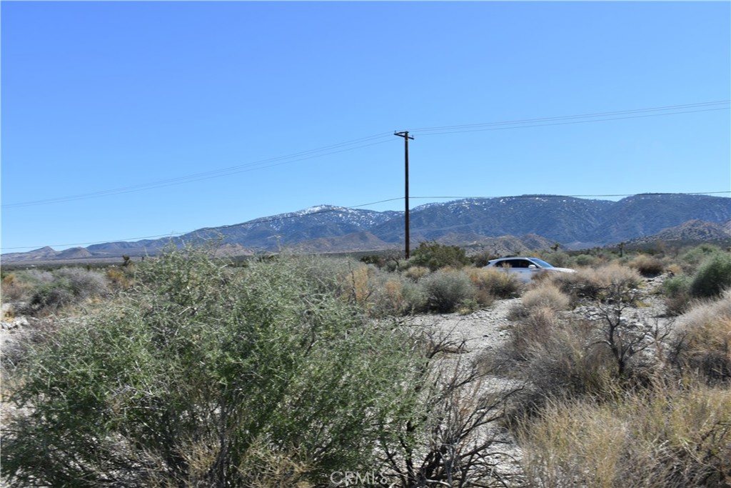 0 Vac/Fort Tejon Drt /Ave Y8