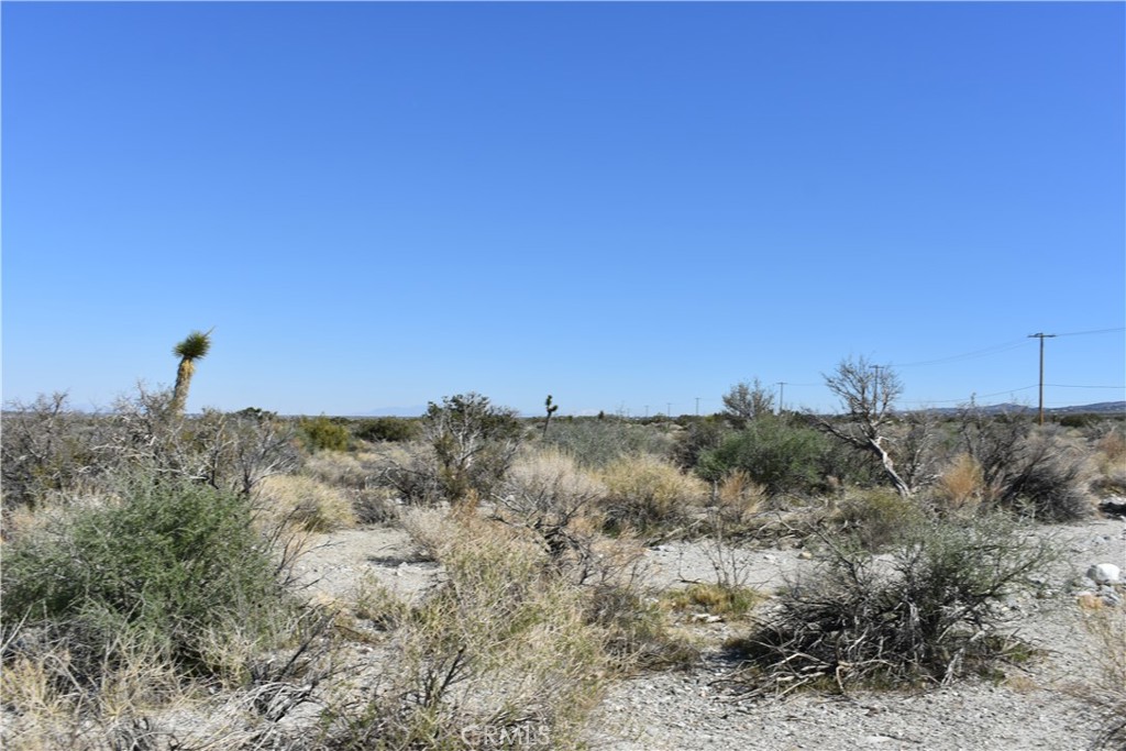 0 Vac/Fort Tejon Drt /Ave Y8