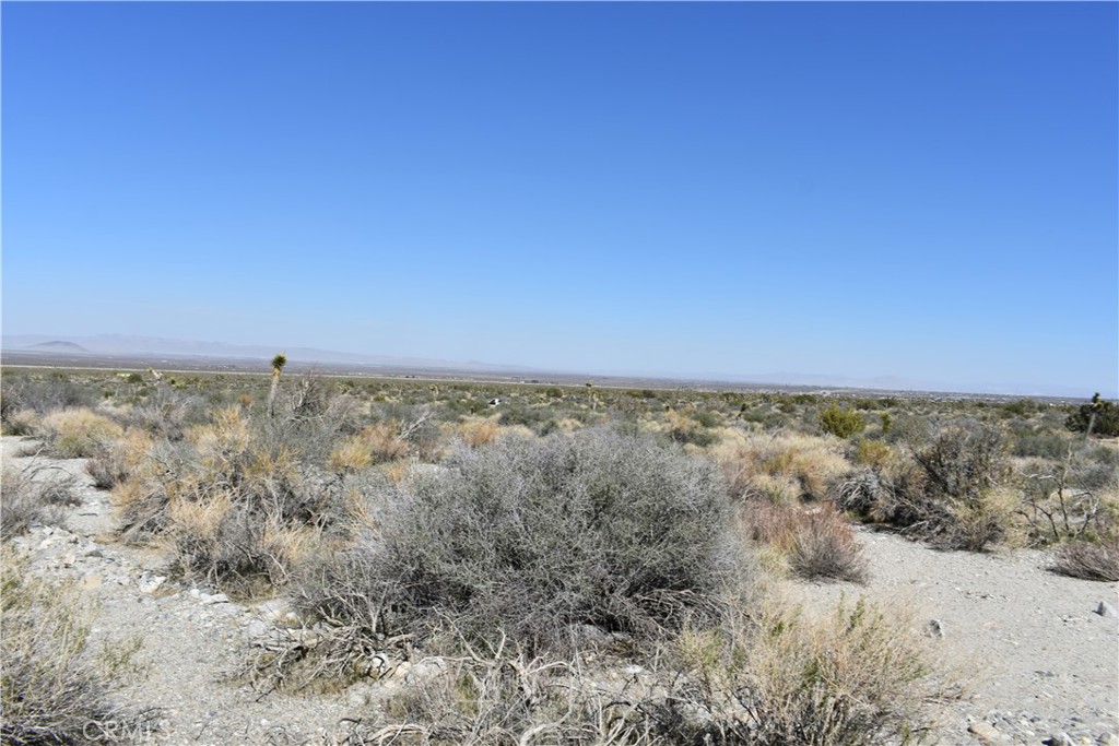 0 Vac/Fort Tejon Drt /Ave Y8