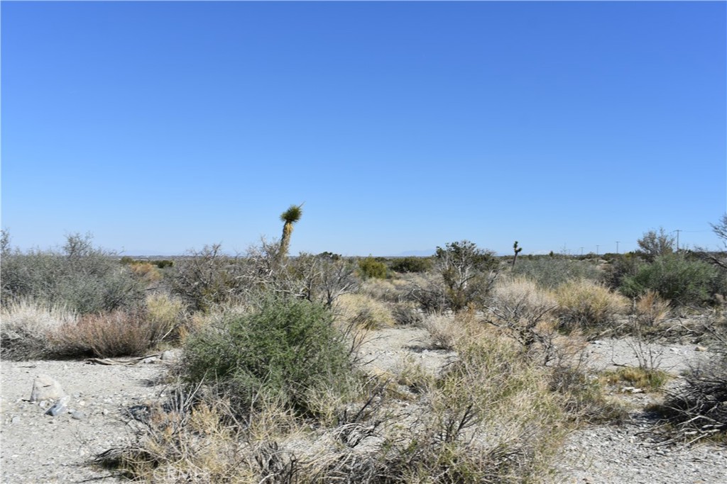 0 Vac/Fort Tejon Drt /Ave Y8