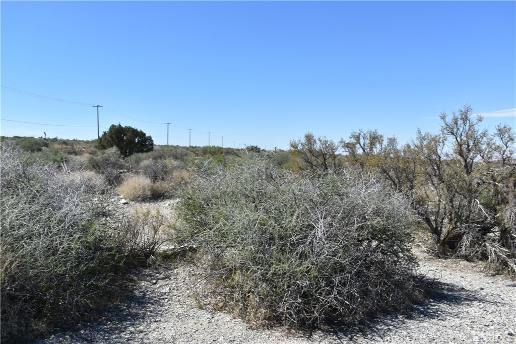 0 Vac/Fort Tejon Drt /Ave Y8