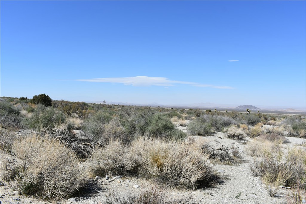 0 Vac/Fort Tejon Drt /Ave Y8