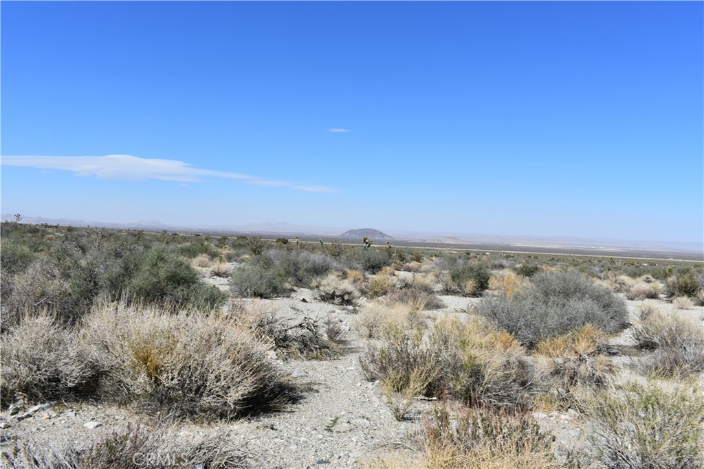 0 Vac/Fort Tejon Drt /Ave Y8