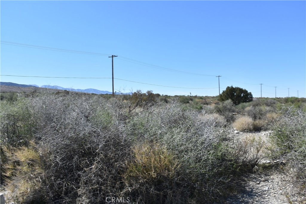 0 Vac/Fort Tejon Drt /Ave Y8