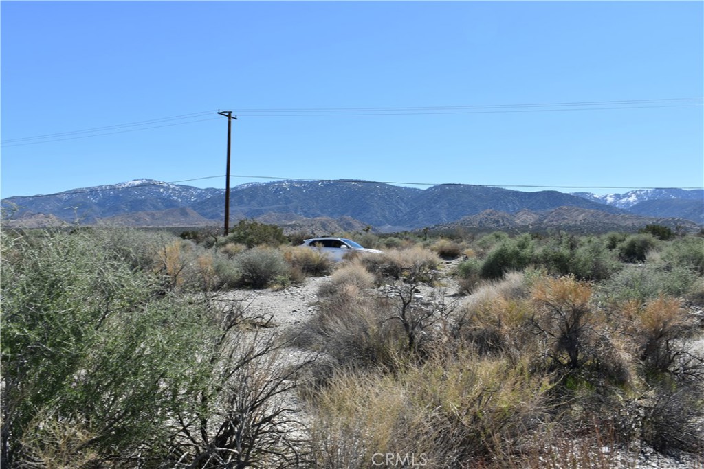 0 Vac/Fort Tejon Drt /Ave Y8