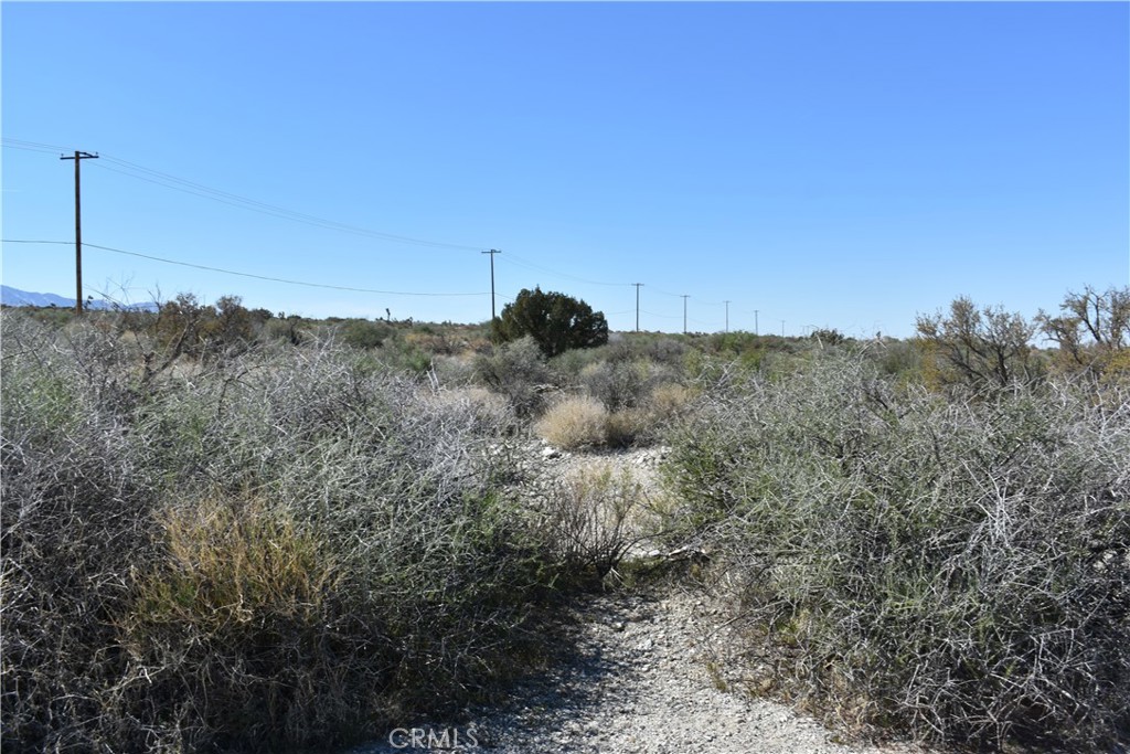 0 Vac/Fort Tejon Drt /Ave Y8