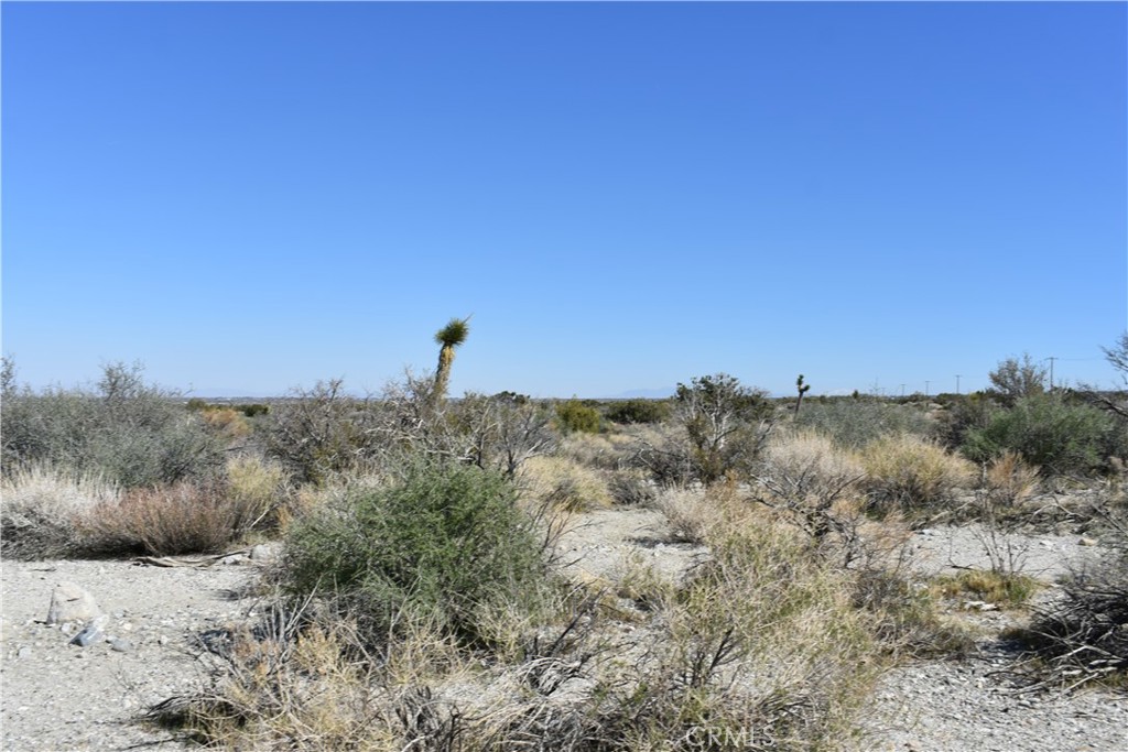 0 Vac/Fort Tejon Drt /Ave Y8