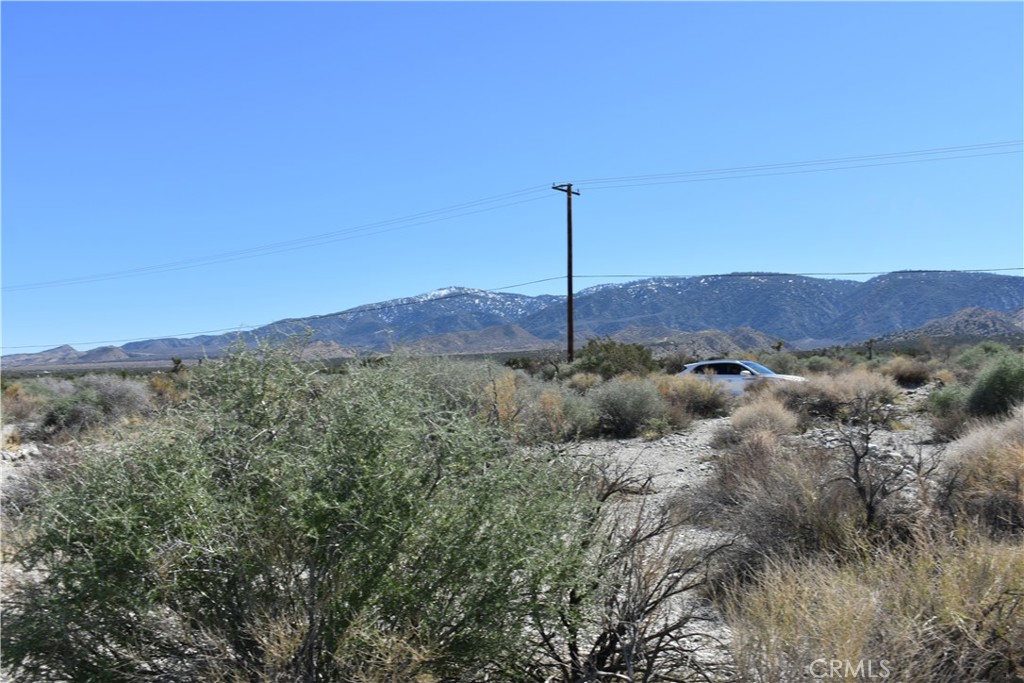 0 Vac/Fort Tejon Drt /Ave Y8