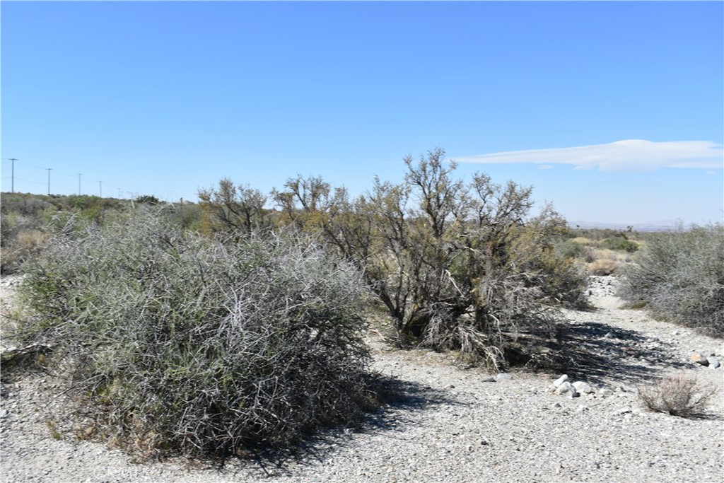 0 Vac/Fort Tejon Drt /Ave Y8