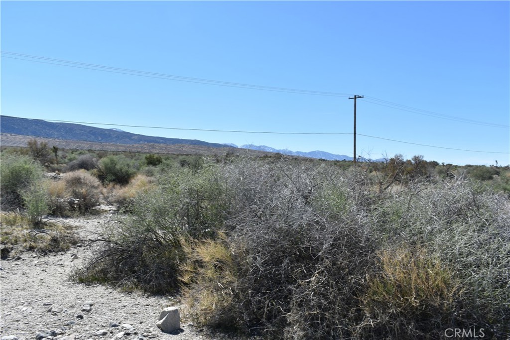 0 Vac/Fort Tejon Drt /Ave Y8