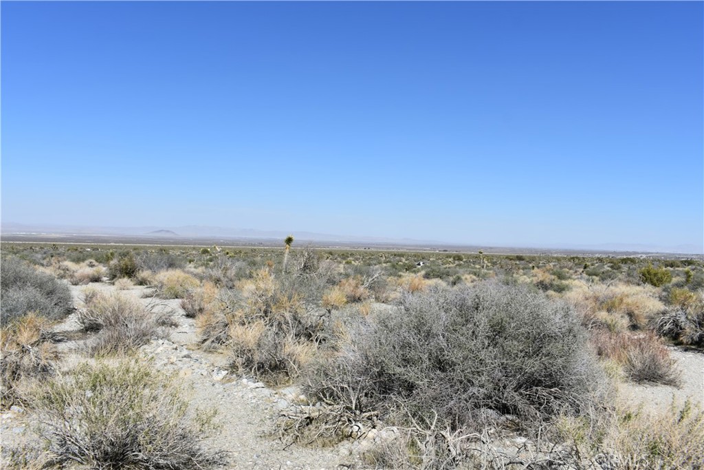 0 Vac/Fort Tejon Drt /Ave Y8