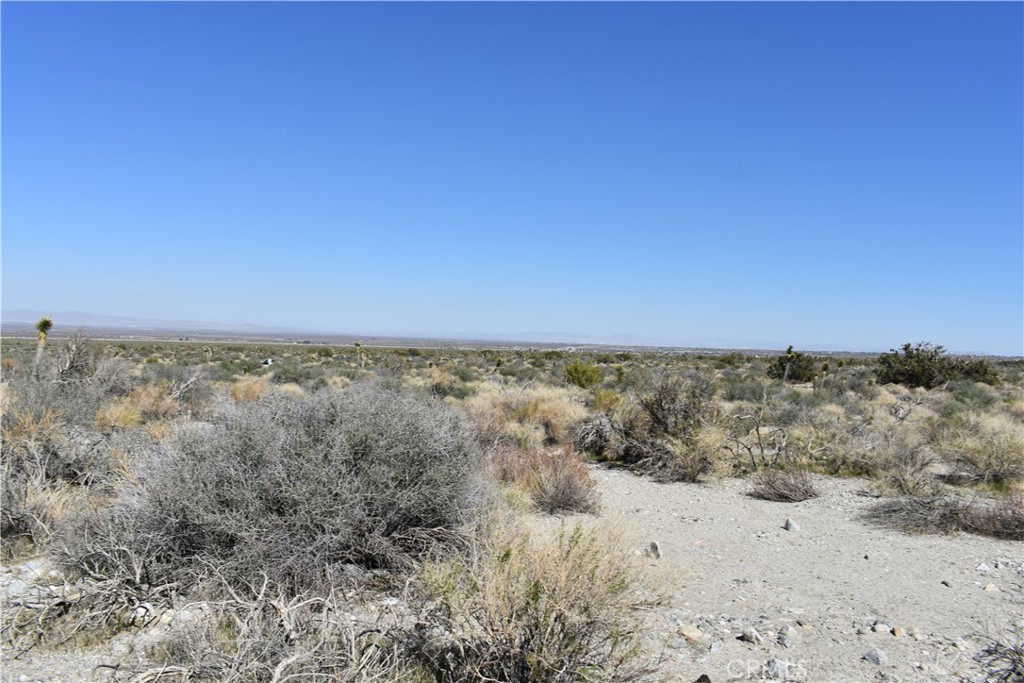 0 Vac/Fort Tejon Drt /Ave Y8