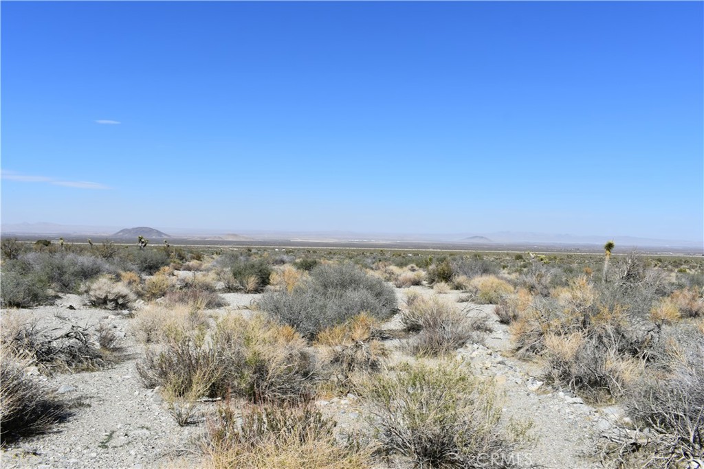 0 Vac/Fort Tejon Drt /Ave Y8