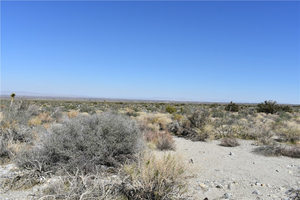 0 Vac/Fort Tejon Drt /Ave Y8