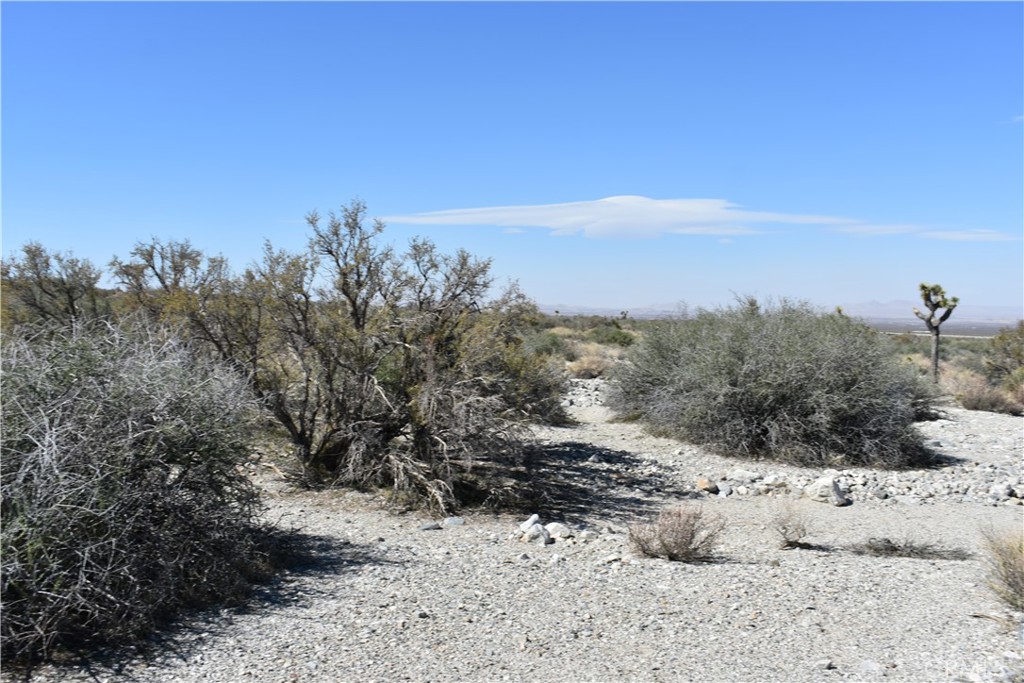 0 Vac/Fort Tejon Drt /Ave Y8