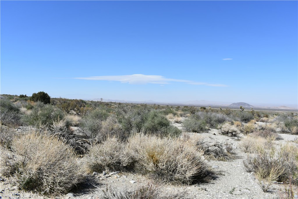 0 Vac/Fort Tejon Drt /Ave Y8