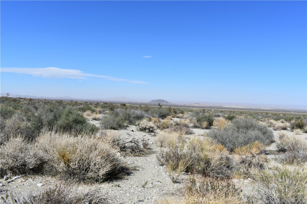 0 Vac/Fort Tejon Drt /Ave Y8